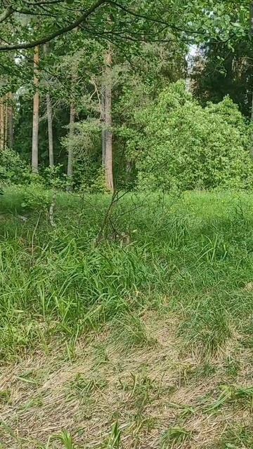 (42) Библия Евангелие от Иоанна глава 10 стих 11-21 смотреть онлайн