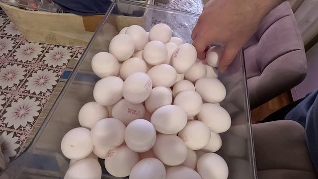 Яйца какие лучше купить. Отзыв покупателя смотреть онлайн