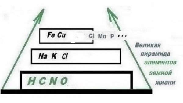 3-2-2  Адгезийная концепция генетики  Нуклотиды сами по себе  как данность  Что это такое