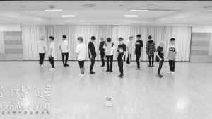 Seventeen - 'Don't Wanna Cry' Dance Practice Mirrored