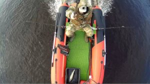 Групер 350 вид сбоку