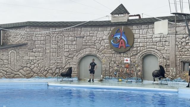 Сочи 2025 ИЮНЬ))) Адлерский ДИЛЬФИНАРИЙ представление ДО СЛЁЗ И МУРАШЕК)))) смотреть онлайн