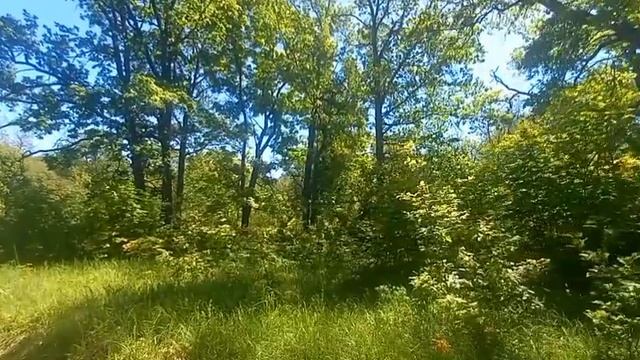 Расслабляющие Звуки Природы. Природа От Которой Невозможно Оторваться