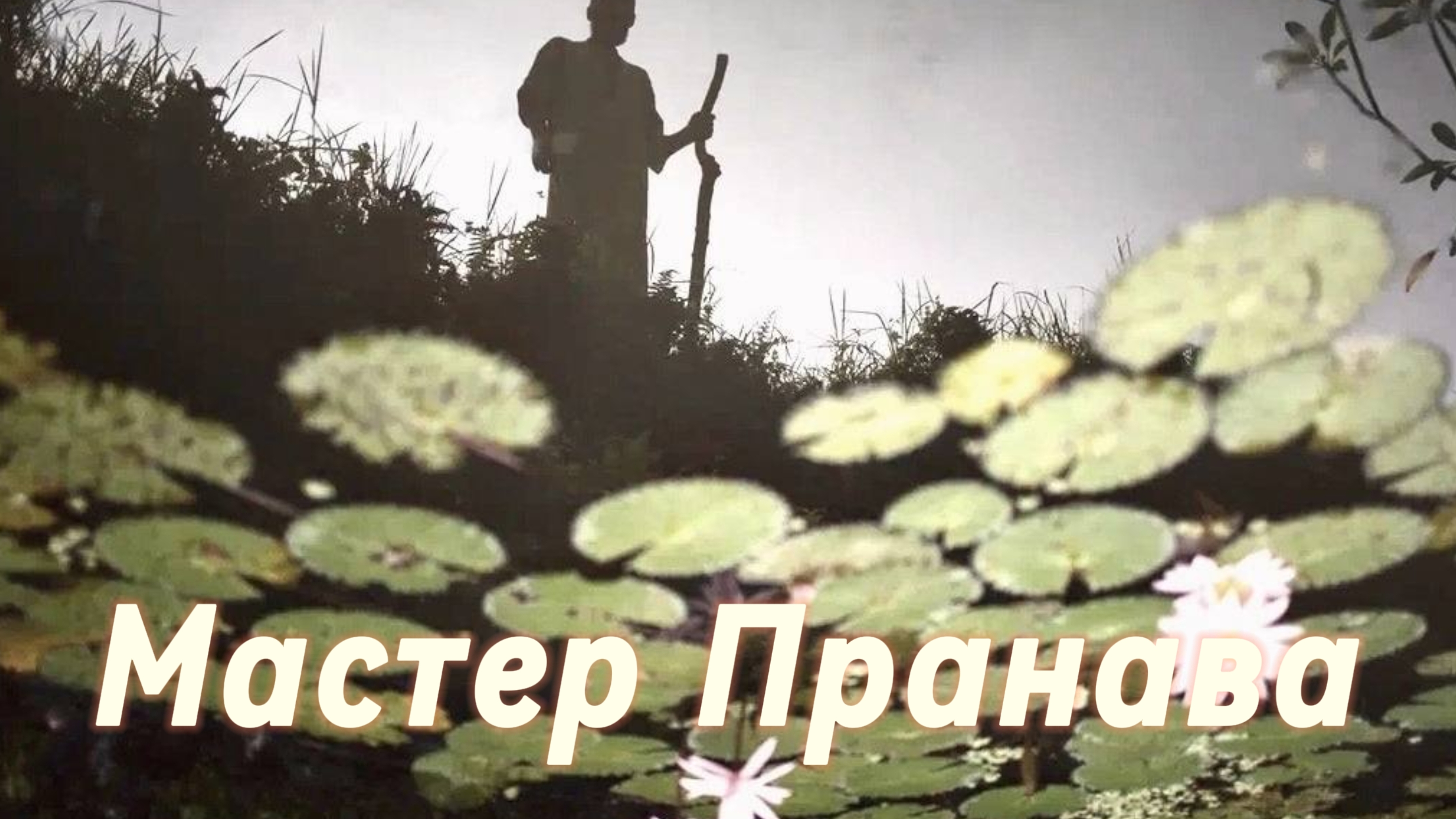 Конфликтные ситуации с близкими,иллюзия существования,вещие сны.Сборник. Мастер Пранава