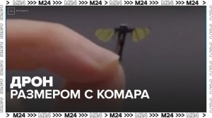 Дрон размером с комара изобрели в Китае - Москва 24