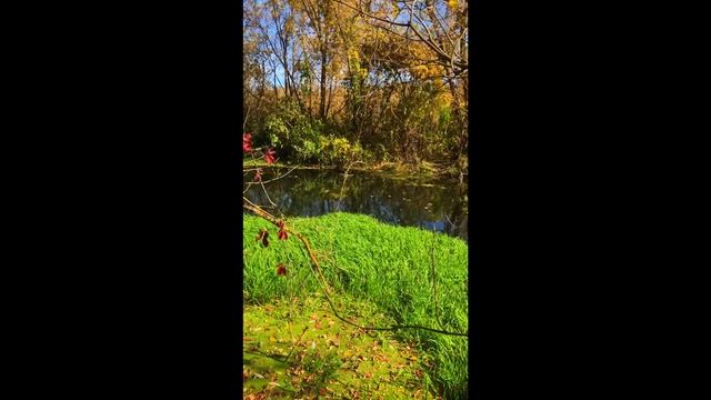 Очень красивое место 2024