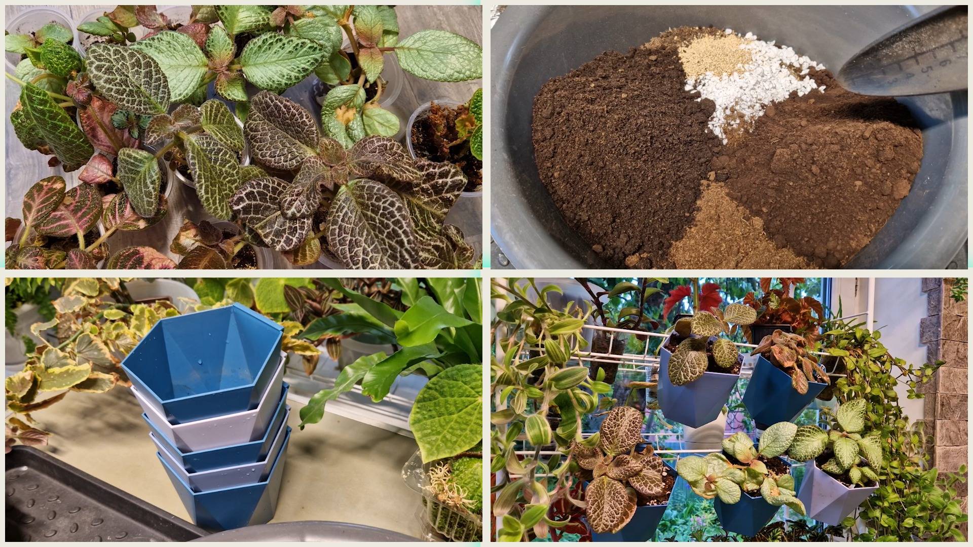 Эписция. Моя молодая коллекция. Адаптация после пересылки. Даю больший объём. смотреть онлайн