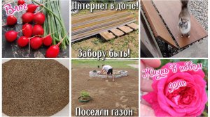 #129 Интернет в доме! Забору быть! Купили столбики и перемычки. Посеяли газон, успели до ливней