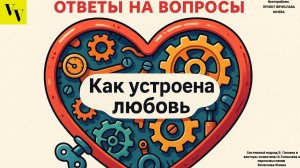 Как устроена любовь