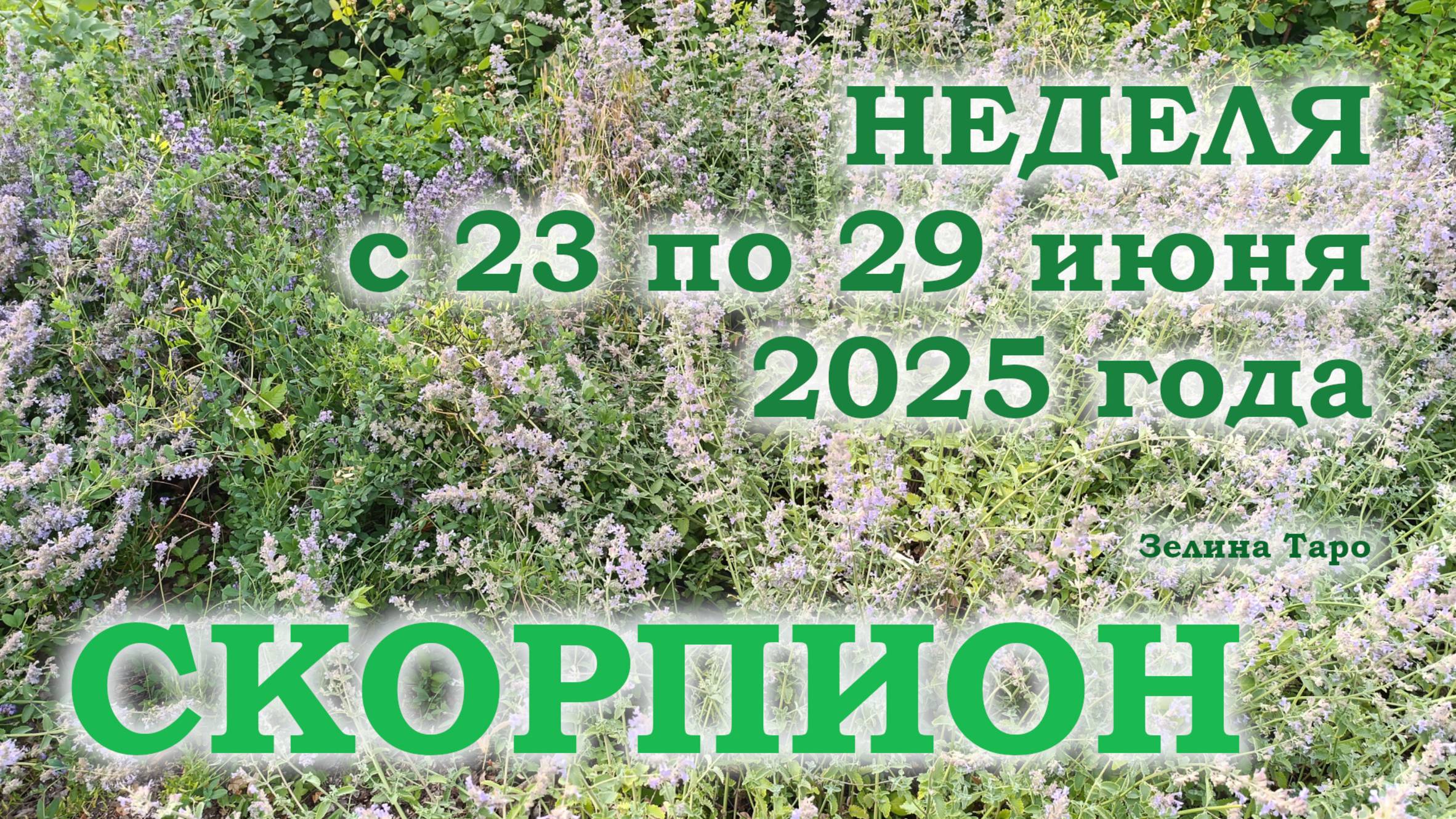 СКОРПИОН | ТАРО прогноз на неделю с 23 по 29 июня 2025 года