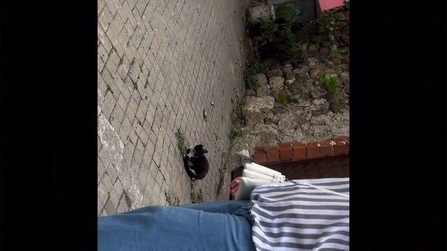 Круиз на корабле ASTORIA GRANDE. Четвёртая серия Амасра