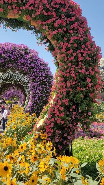 Dubai Miracle Garden: Потрясающий рай цветов смотреть онлайн