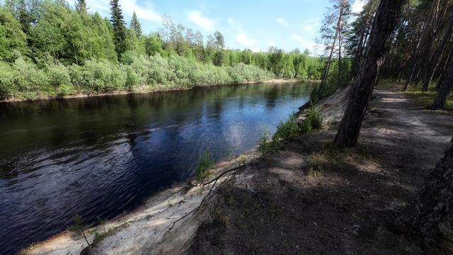 Лес, где пацанами бегали.