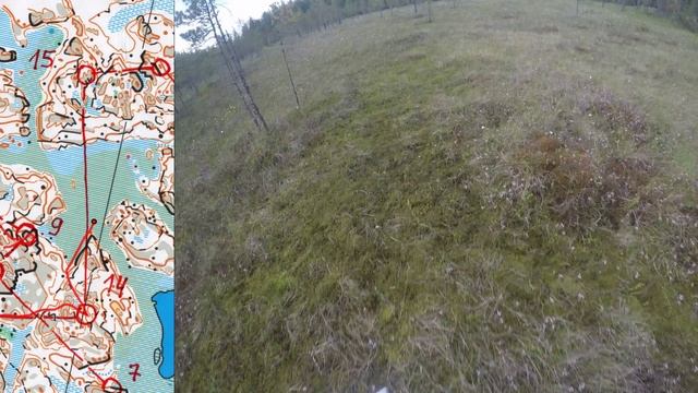 06 06 25, Кузнечное, тренировка, Ярослав, headcam orienteering