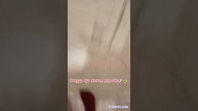 Если вы хотите узнать кто под ней, то досмотрите это видео до конца