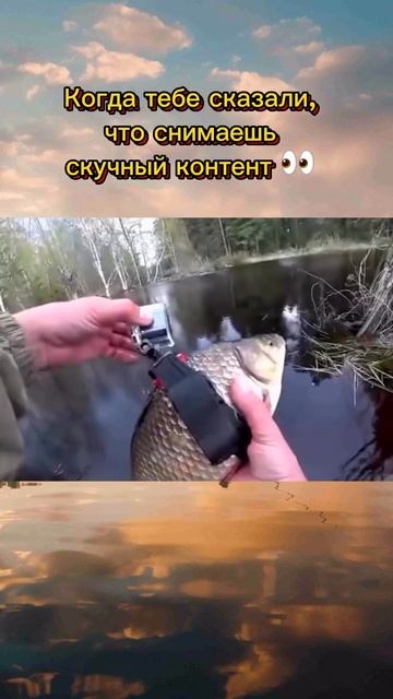 Подводный квадрокоптер
#топ#рыбалка#лайфхаки#rutube#рутуб#тикток#рекомендации