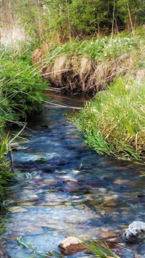 Песня: "Бежит ручей, течёт ручей, в ручье лежит мужик ничей".😂😂😂