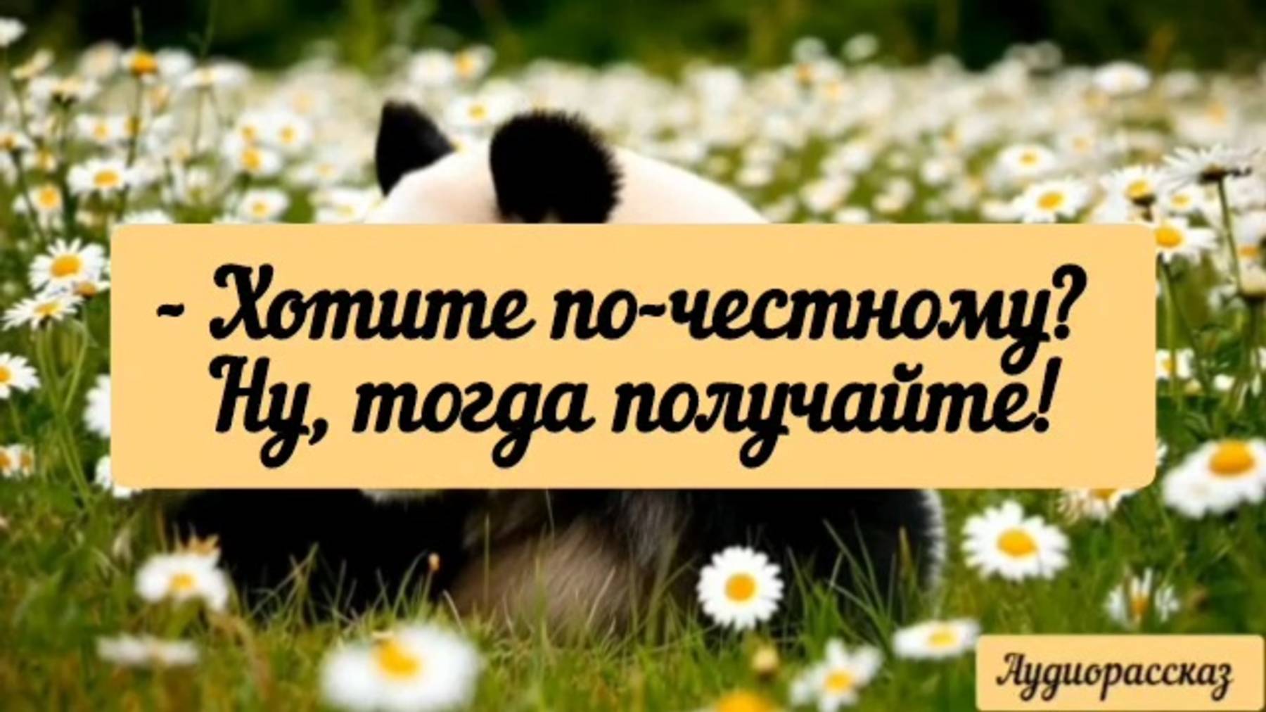 Бывший муж и свекровь и не до такого могут 