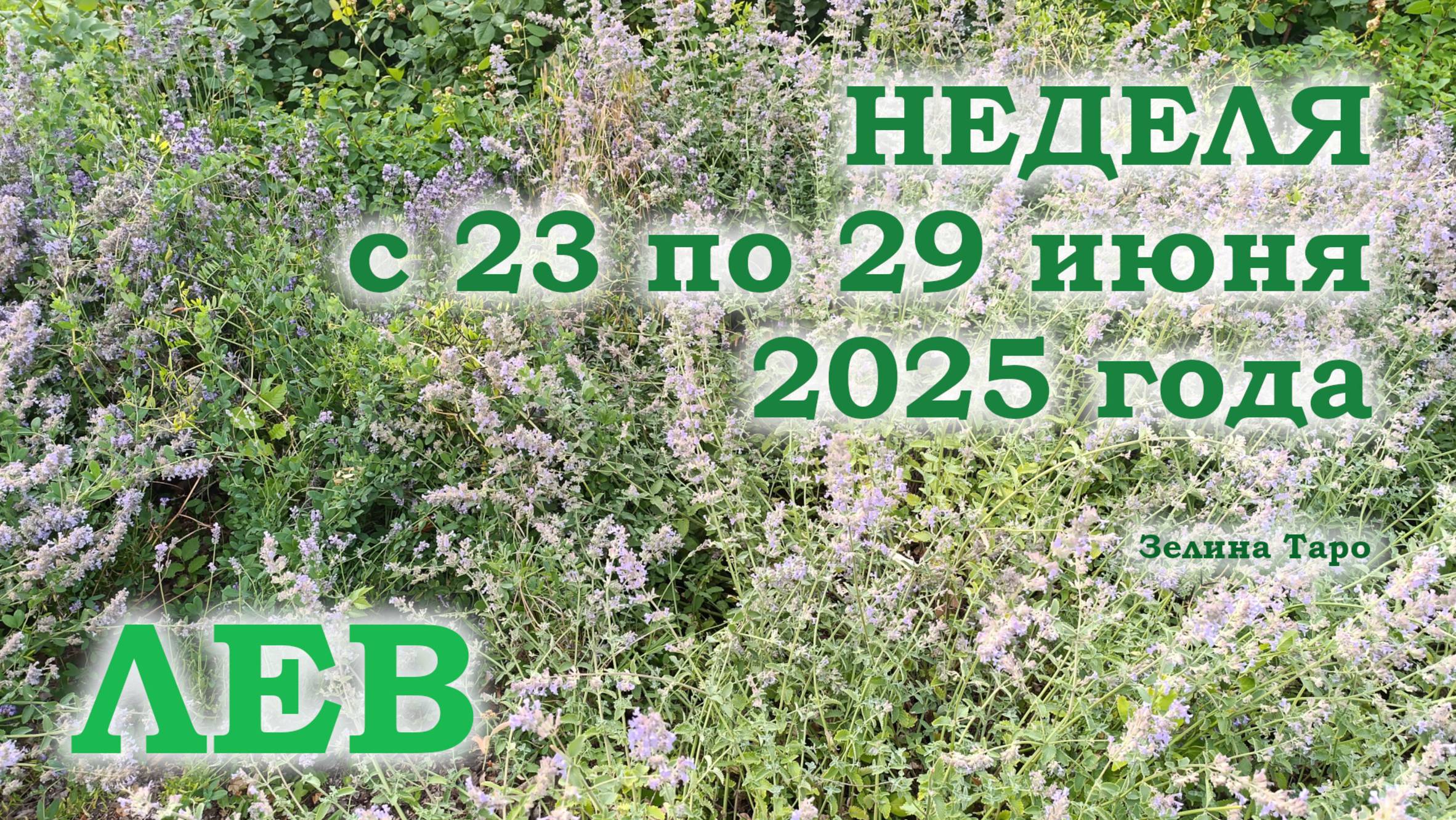 ЛЕВ | ТАРО прогноз на неделю с 23 по 29 июня 2025 года