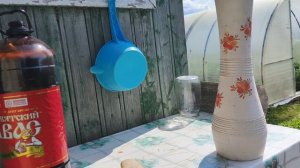 Неудачный день новая коса опять сломалась .