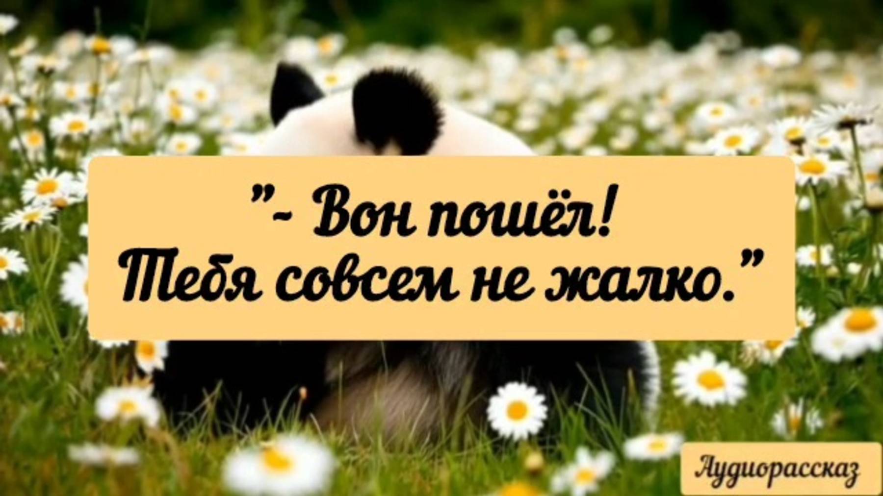 Удивительно, что не бросил жену с ребёнком.