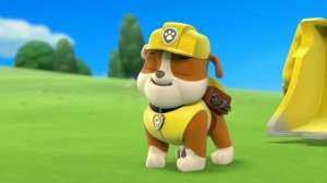 Щенячий патруль | «Щенячий патруль» спасают ситуацию и проводят спасательные операции | Nick Jr.