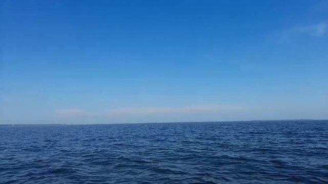 Рыбалка на Финском заливе. Отчёт за 23.07.22. ЮБРЛС.