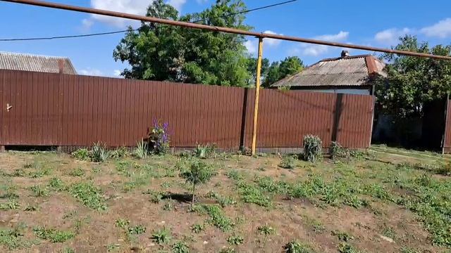 1000175359.mp4 смотреть онлайн