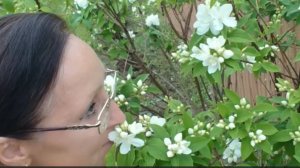 Видео привет с 6 соток 20 июня 202 года