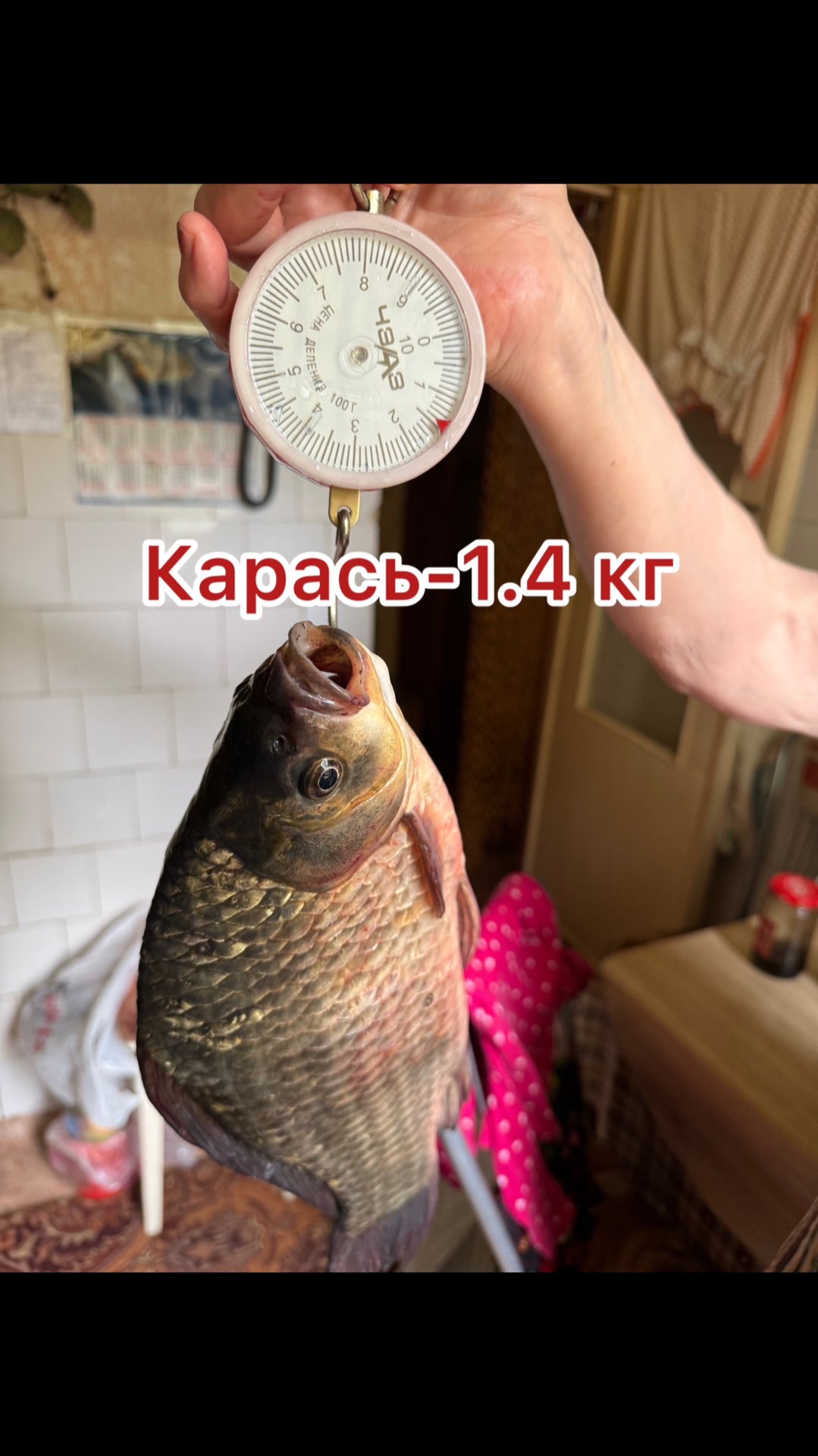 Очередной трофейный карась🏆