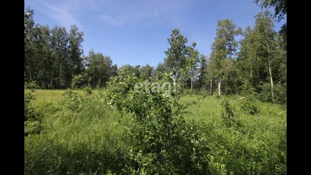 4782782 смотреть онлайн