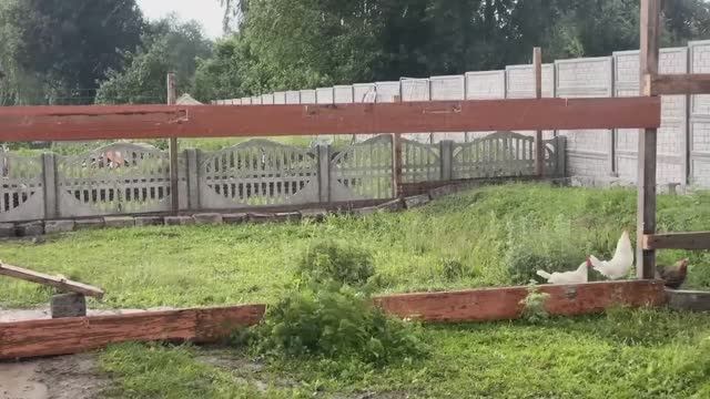 Получили подарок от подписчика. У нас обновки. Как сэкономить на отоплении зимой. Жизнь в деревне. смотреть онлайн