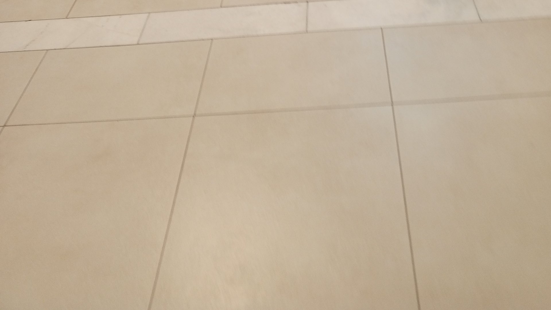 Шопинг. Лемана Про.