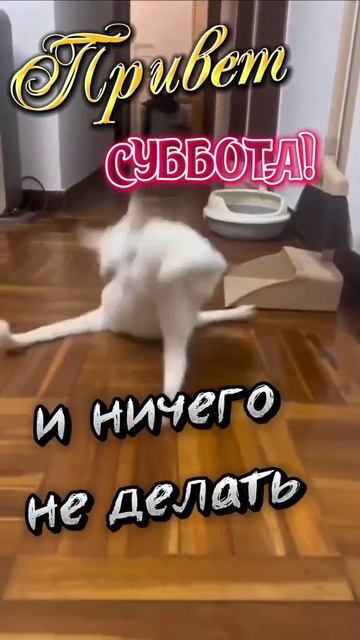 Доброго Субботнего Дня Друзья 💖💖💖 смотреть онлайн