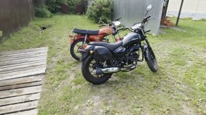 сравнение стингрей и альфа