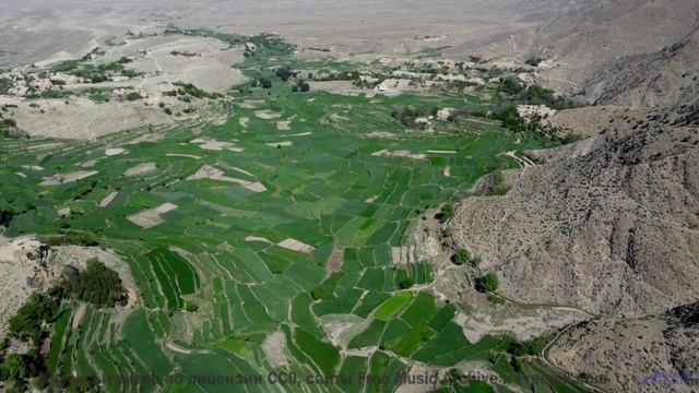 Любовь к природе через музыку! - Tumbleweeds -- Ketsa -- Metaphysics