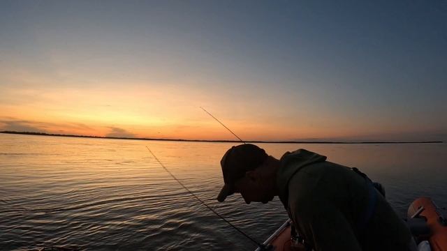 От заката до рассвета Амурские хищники