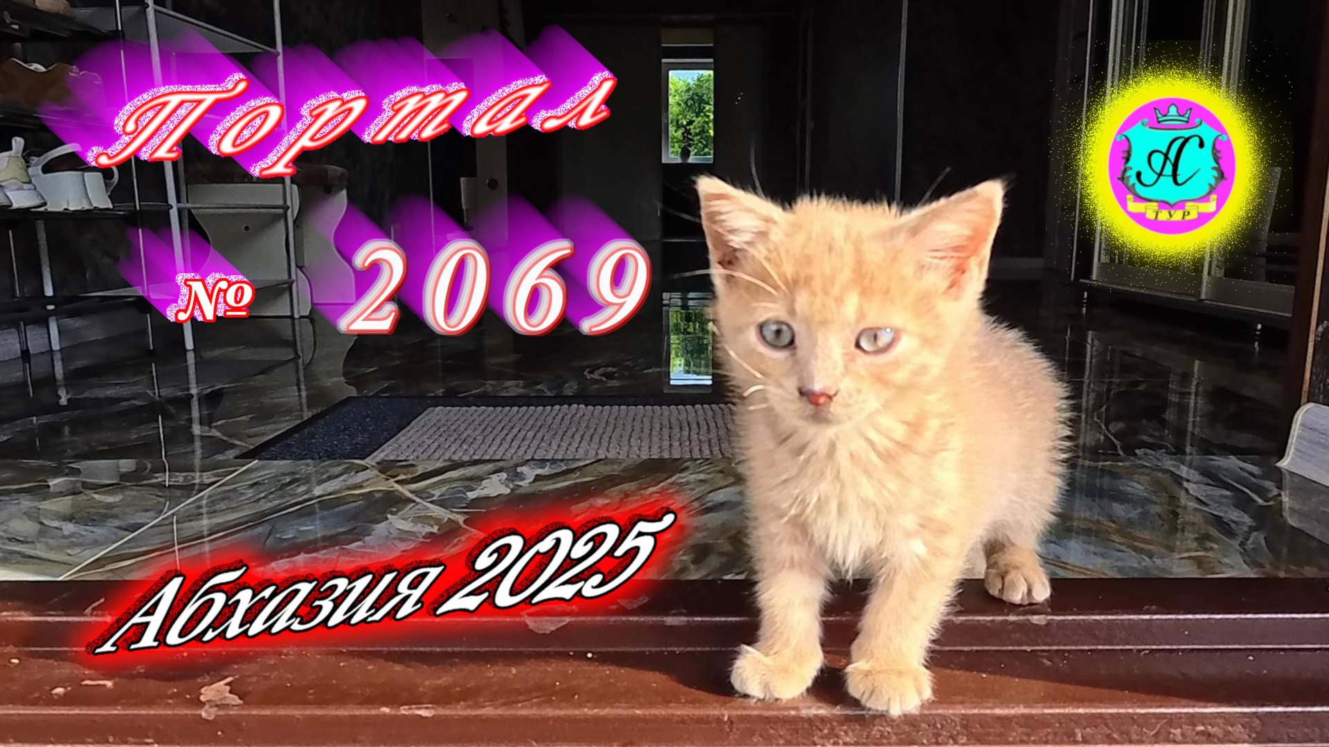 #Абхазия2025🌴 21 июня. Выпуск №2069🌡вчера +30°🌡ночью +18°🐬море +21,3°❗ смотреть онлайн