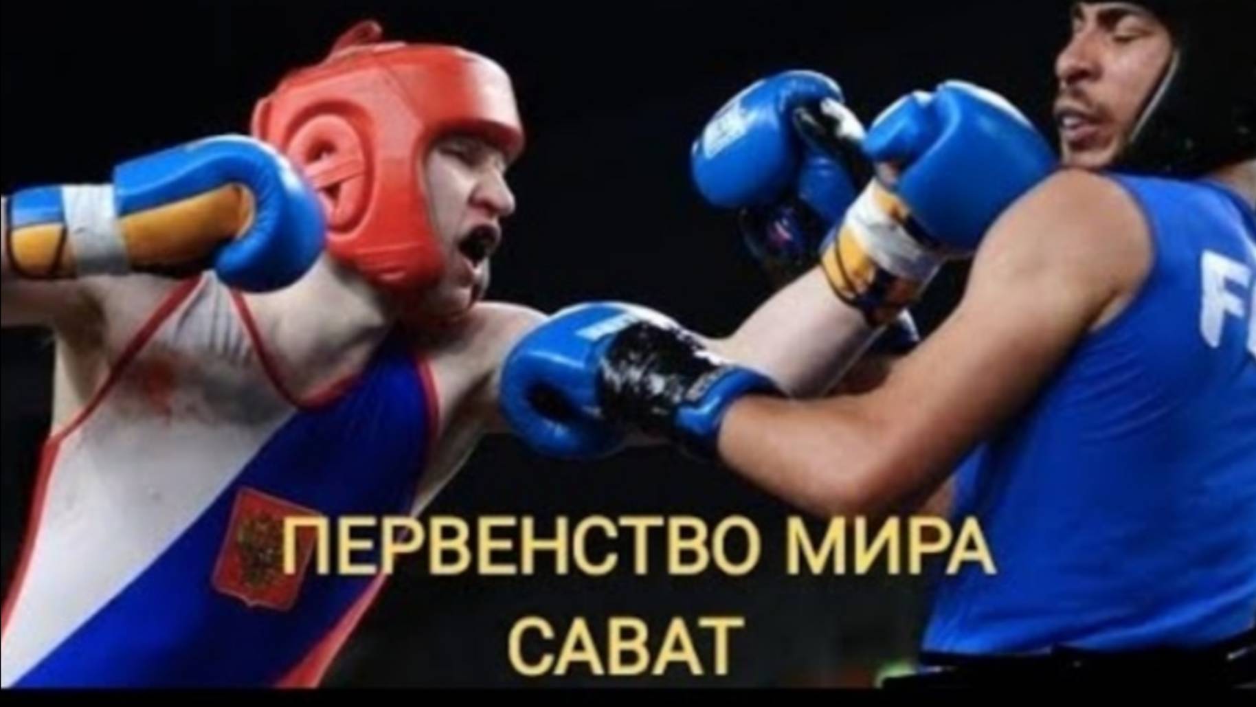 Финал юниоров на первенстве мира по савату 2017 в Хорватии. #savate #martialarts #сават