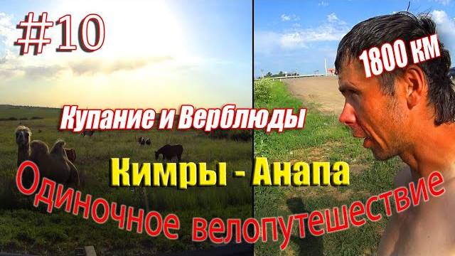 10.Велопутешествие Кимры - Анапа (Купание и Верблюды)