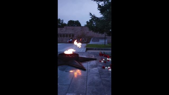 Лития 22 июня 2025