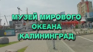 Музей мирового океана (Калининград)