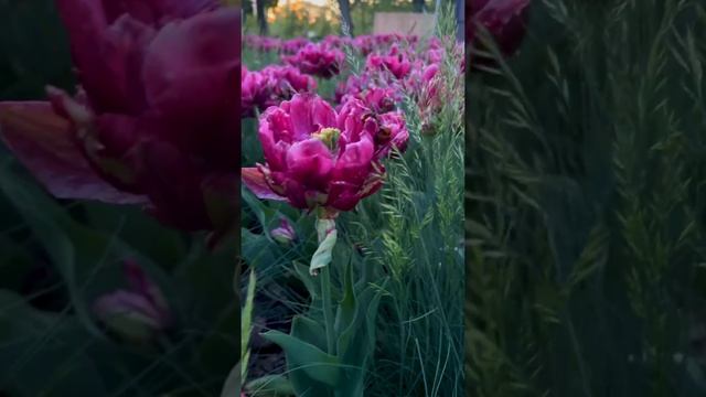 Почему болеет тело или что поможет в исцелении? смотреть онлайн