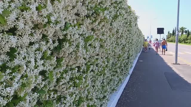 Иду на пляж Бархатные сезоны смотреть онлайн