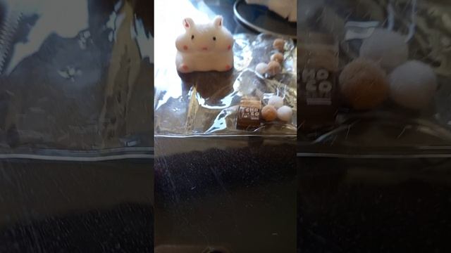 хомяк 🐹
Антистресс смотреть онлайн