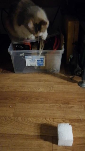 VID_20230116_082118 смотреть онлайн