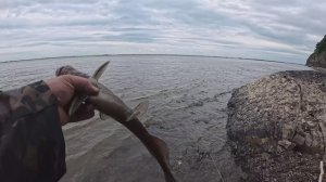 Летняя рыбалка на резинку 17.06.2025