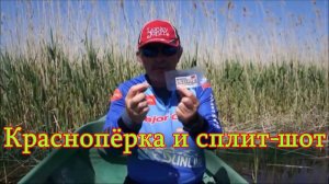 Константин Кузьмин. Краснопёрка и сплит-шот, 2013 год