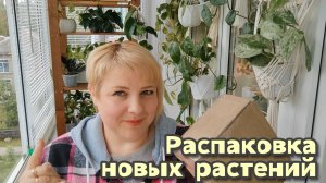 Распаковка посылки с новыми растениями 📦