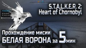 Прохождение БЕЛАЯ ВОРОНА за 5 минут в Сталкер 2